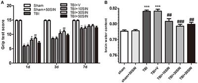 Sinomenine Provides Neuroprotection in Model of Traumatic Brain Injury via the Nrf2–ARE Pathway